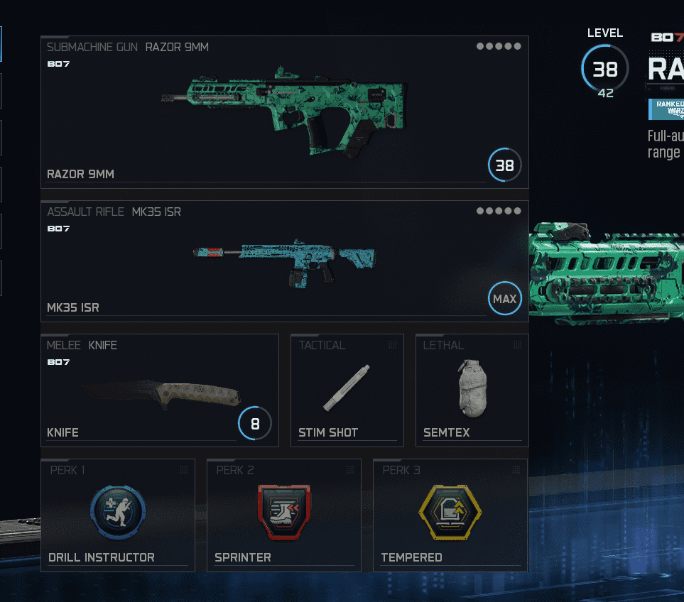 RANKED HUNTER - Call of Duty