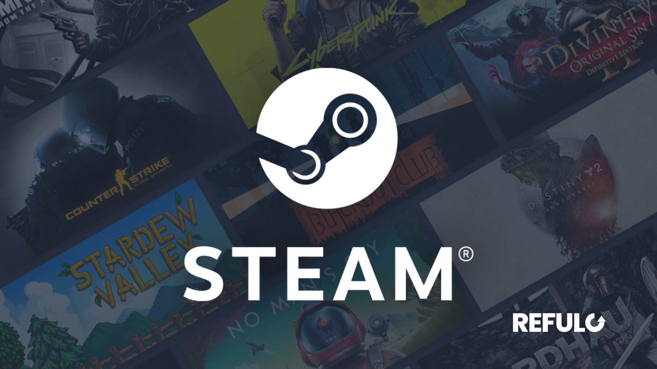 100 EURO Steam wallet